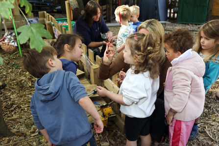 A group of small children looking at nature items