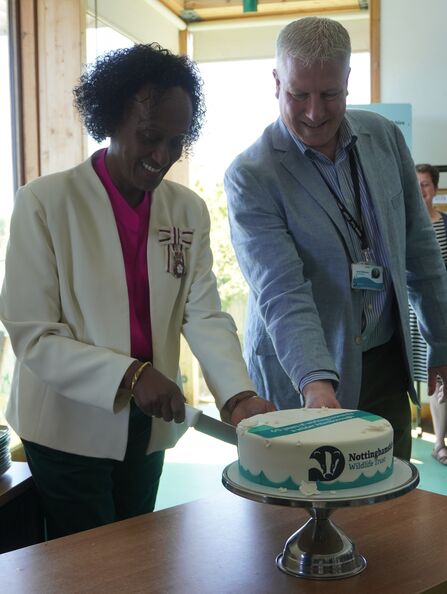 Woman and man cutting a cake