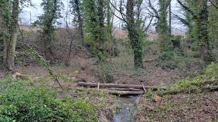 Tree trunks across a stream to help reduce flow of water.