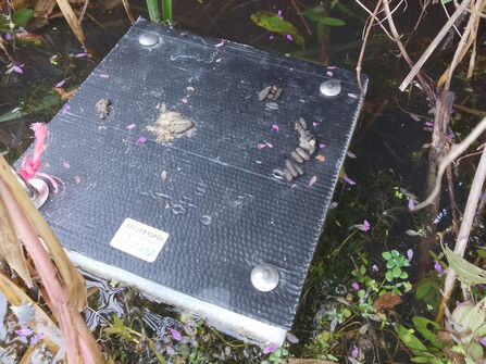 Latrine raft in water