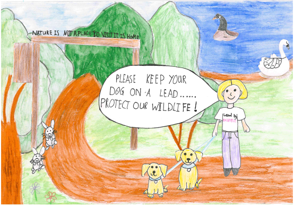 a poster encouraging people to keep dogs on leads