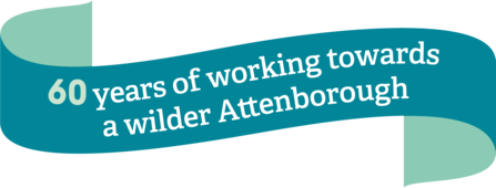 60 years of working towards a wilder Attenborough