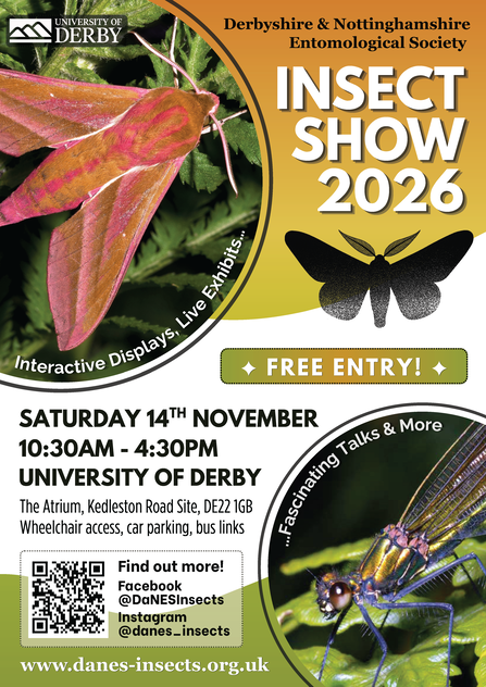DaNES Insect Show 2026, Free Entry, Saturday 14th November, 10:30am - 4:30pm, University of Derby