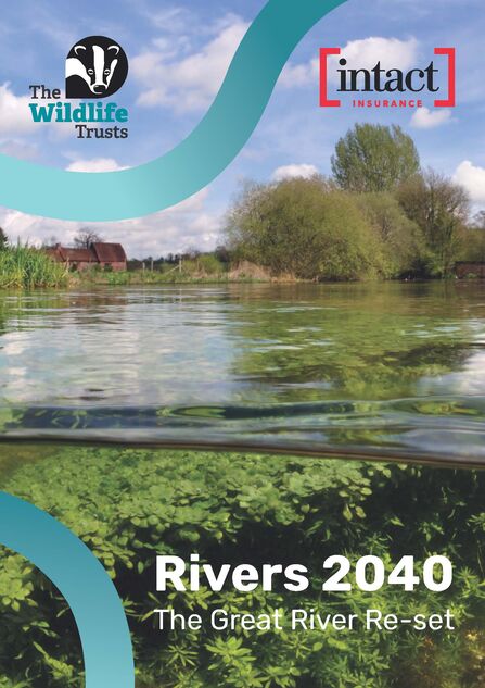 Front cover of the Rivers 2040: Great River Re-set report