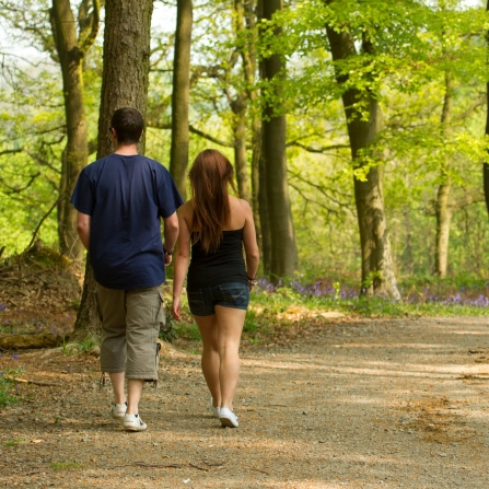 Couple walking down path through woodland, National Forest, Spring, 2011