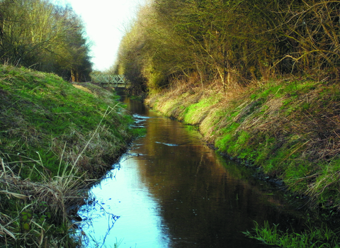 Bridge over stream Daneshill cpt Notts WT