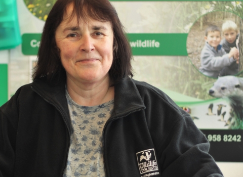 Annette reception volunteer