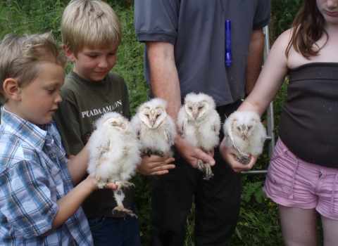 Farndon Wildlife Watch Group Notts WT
