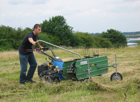 Haymaking at Beacon Hill NottsWT