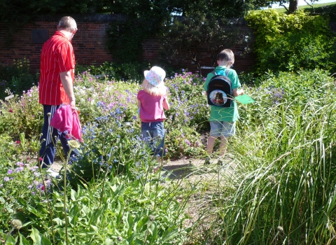 City Watch Group - Wildlife Watch