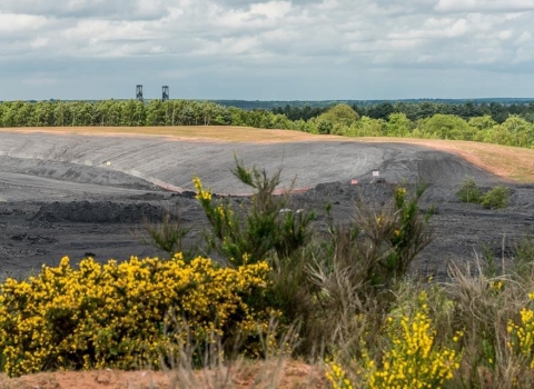 Rufford Colliery Harwood Group