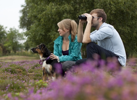 Joint_membership_heathland_couple_cpt_MathewRoberts