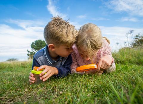 Family_membership_Children_in_meadow_Wildnet_cpt_MathewRoberts