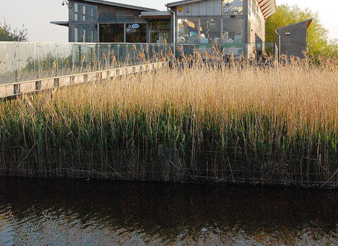 Attenborough Nature Centre4 NottsWT credit Graham Shaw