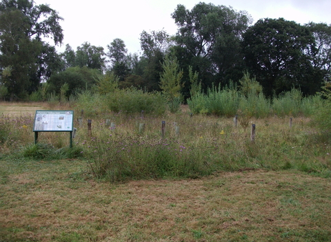 Farndon Site Visit August 2011 Notts WT 4