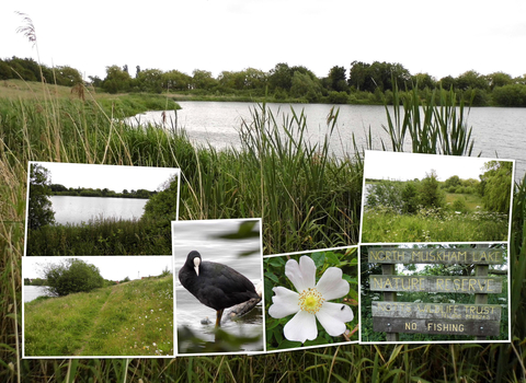 North Muskham Lake NottsWT cpt Tony Summers