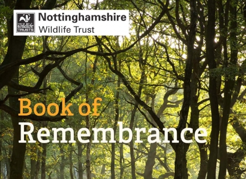 Book of Remembrance
