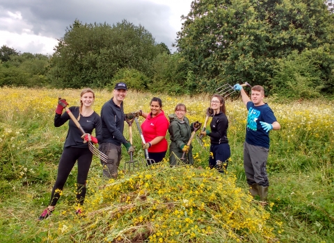 Speedo corporate work party at ANR meadow July 2017 credit Peter Stanyon