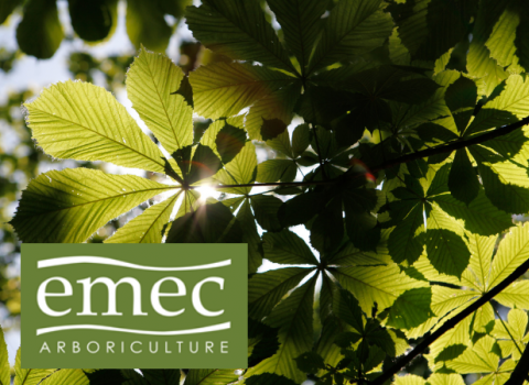 EMEC Arboriculture 2