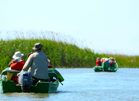 Wildlife Travel Sahalin Island, Danube Delta, Romania, 18th May 2018.jpg