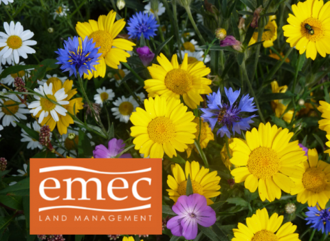 EMEC land management