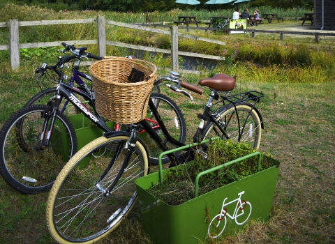Idle Valley Bikes - DSC_0033 - Edited - Heather Keetley