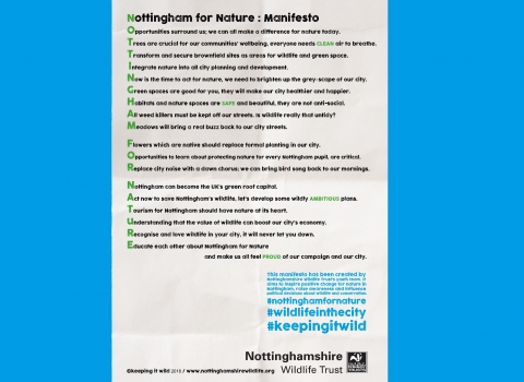 n4n manifesto