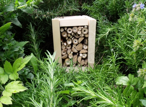 Bee Hotel Kawai Shing