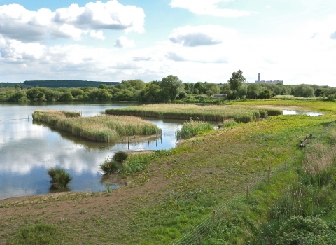 Attenborough Clifton Pit and Kingfisher Hide Notts WT cpt Richard Rogers.jpg