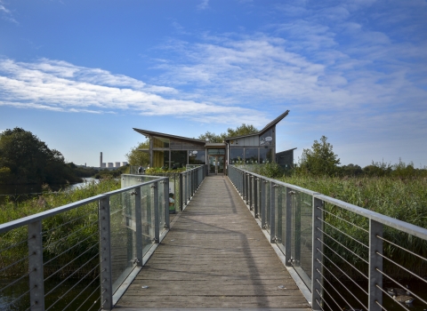 Attenborough Nature Centre DSC_0281 EDITED.jpg