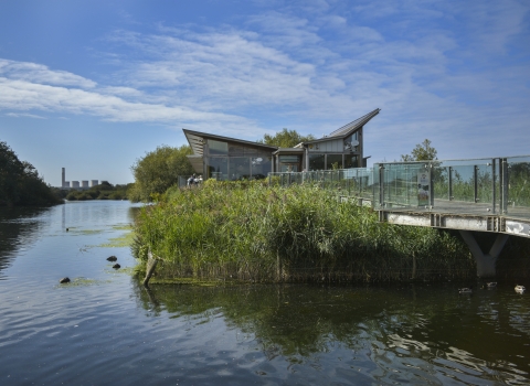 Attenborough Nature Centre DSC_0287EDITED.jpg