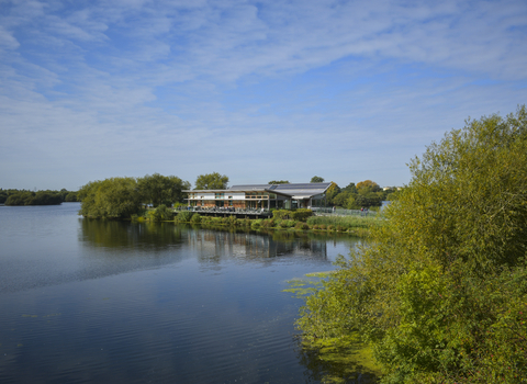 Attenborough Nature Centre DSC_0310EDITED.jpg