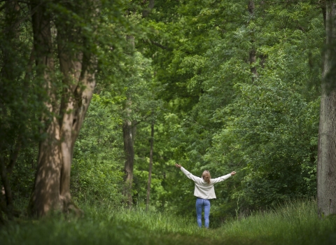 Woman walking in a woodland