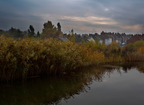 Houses and pond