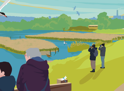 An illustration of the Attenborough Nature Reserve lansdcape. Terns flying, swans swimming, people birdwatching and families walking along paths.