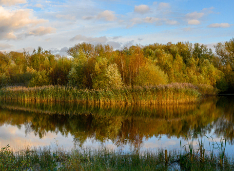 Lake near the beaver area at Idle Valley