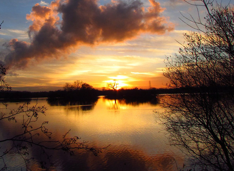 Attenborough at sunset