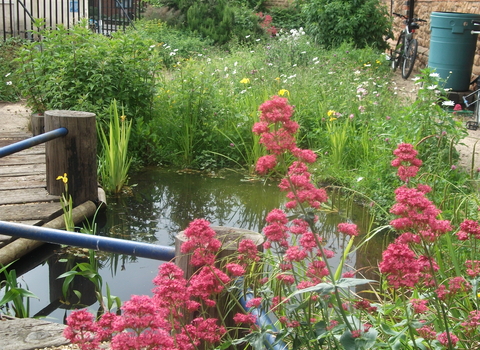 More space for nature - wildlife gardens