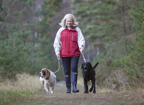 Dogs walking on lead 