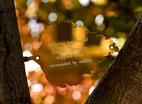 Memory leaf in tree