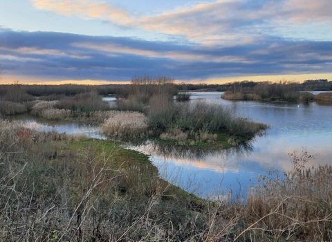 A view of Idle Neatholme Scrape