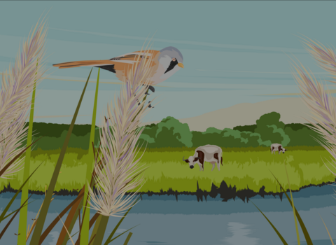 Illustration of a reed bed and lake with cow, beaver and bird