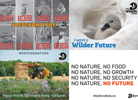 Defend Nature Postcards: #DefendNature, I want a Wilder Future, #Defend Nature Help more farmers help nature, No nature no food no nature no growth no nature no security no nature no future.