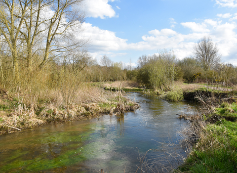 River Ryton