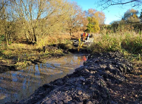 Wetland reprofiling with machinery