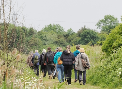 Group of people walking in nature