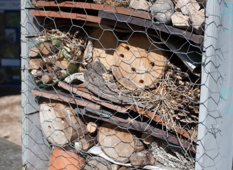 Bug Hotel