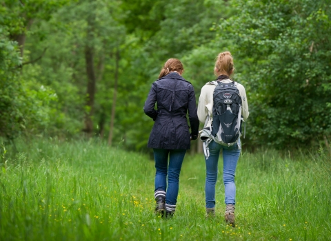 Two women walking through grass towards woodland